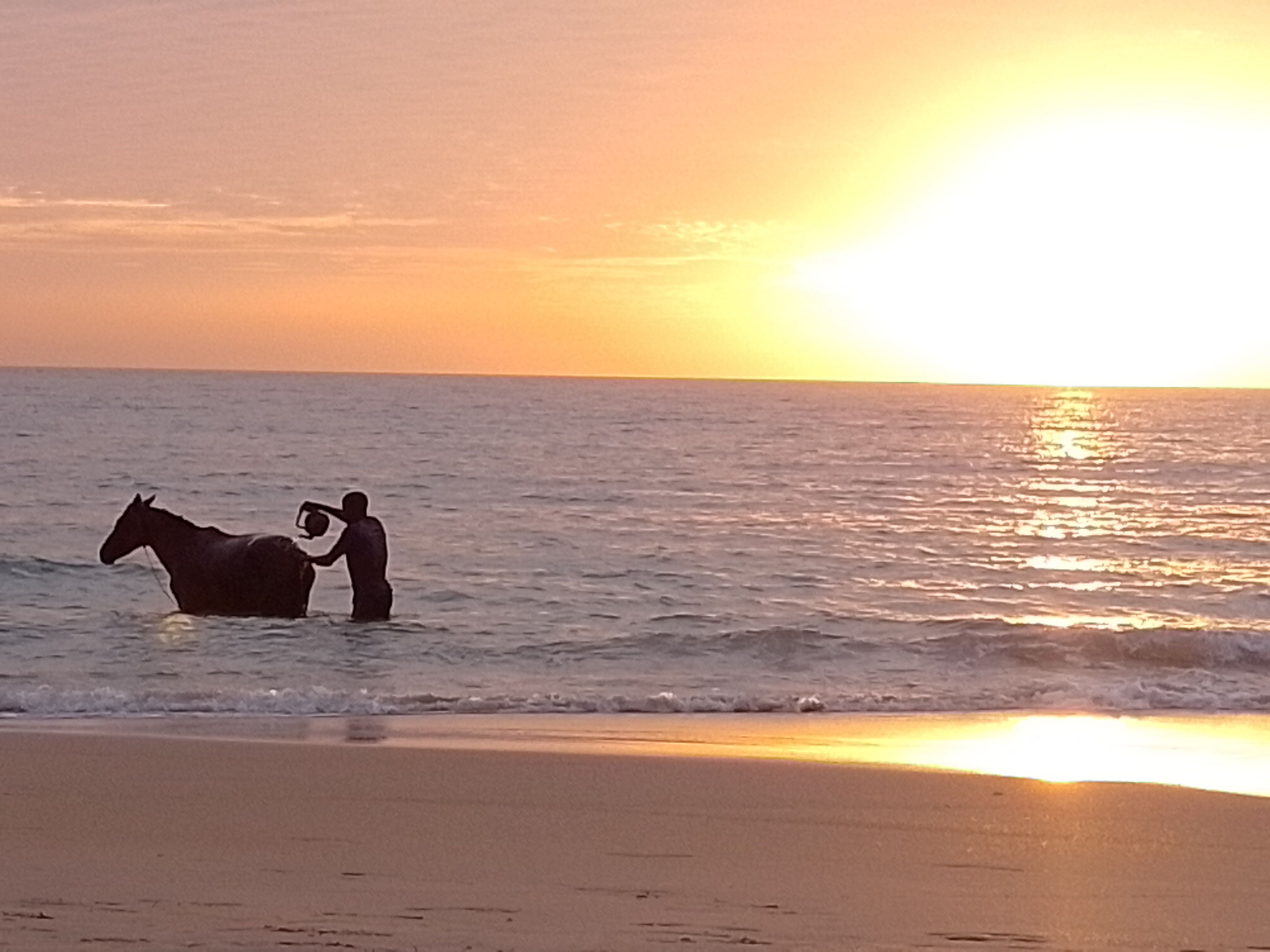Odoo - Voorbeeld 1 voor drie kolommen